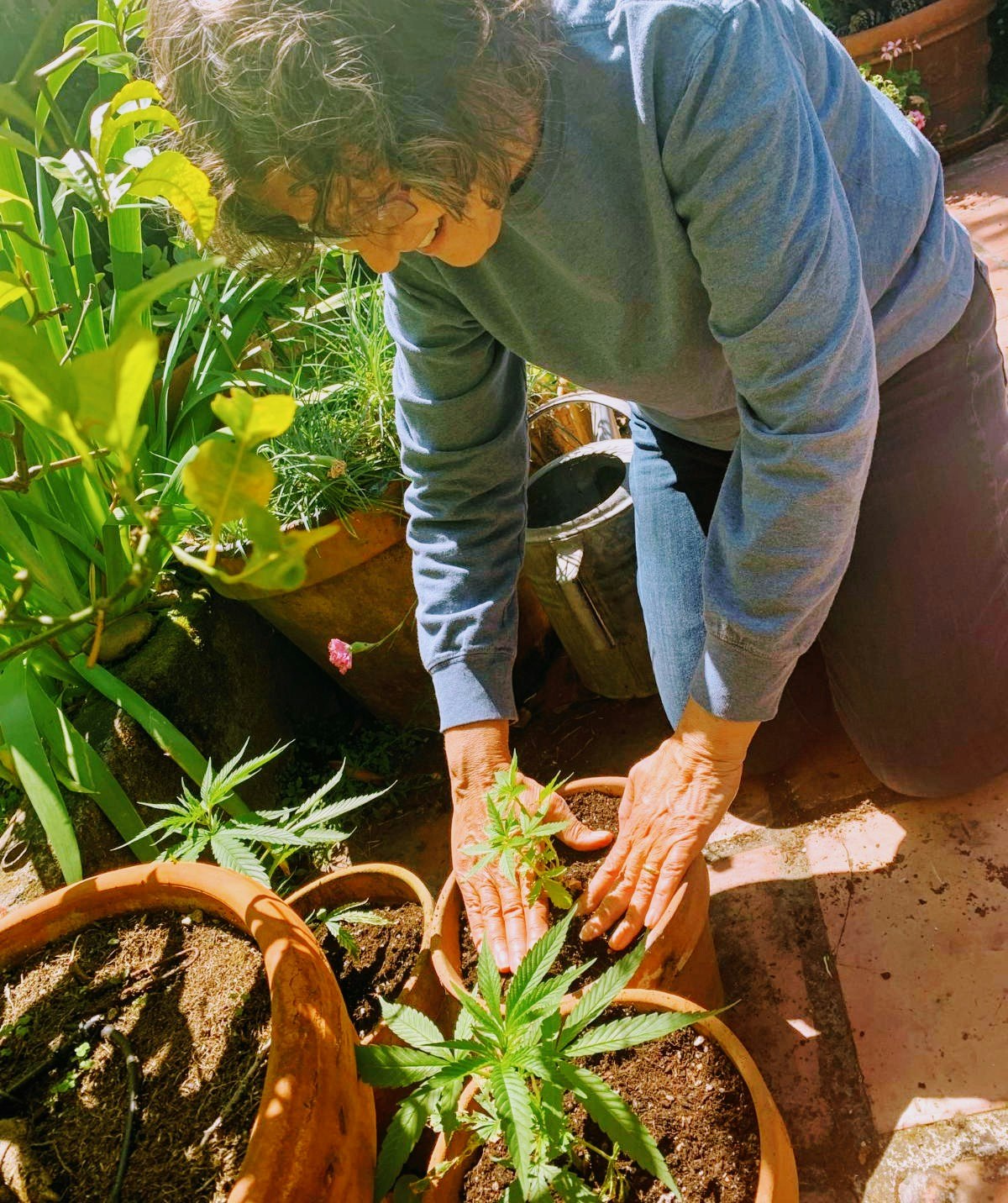 Grow It From Home gallery image