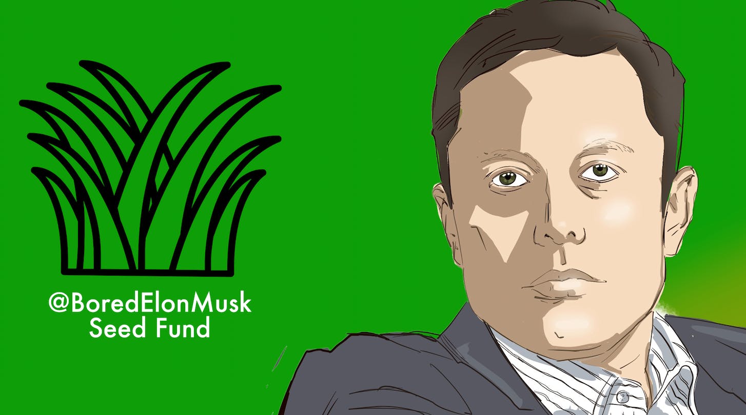 Elon musky seeds
