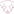 PET NFT Tag