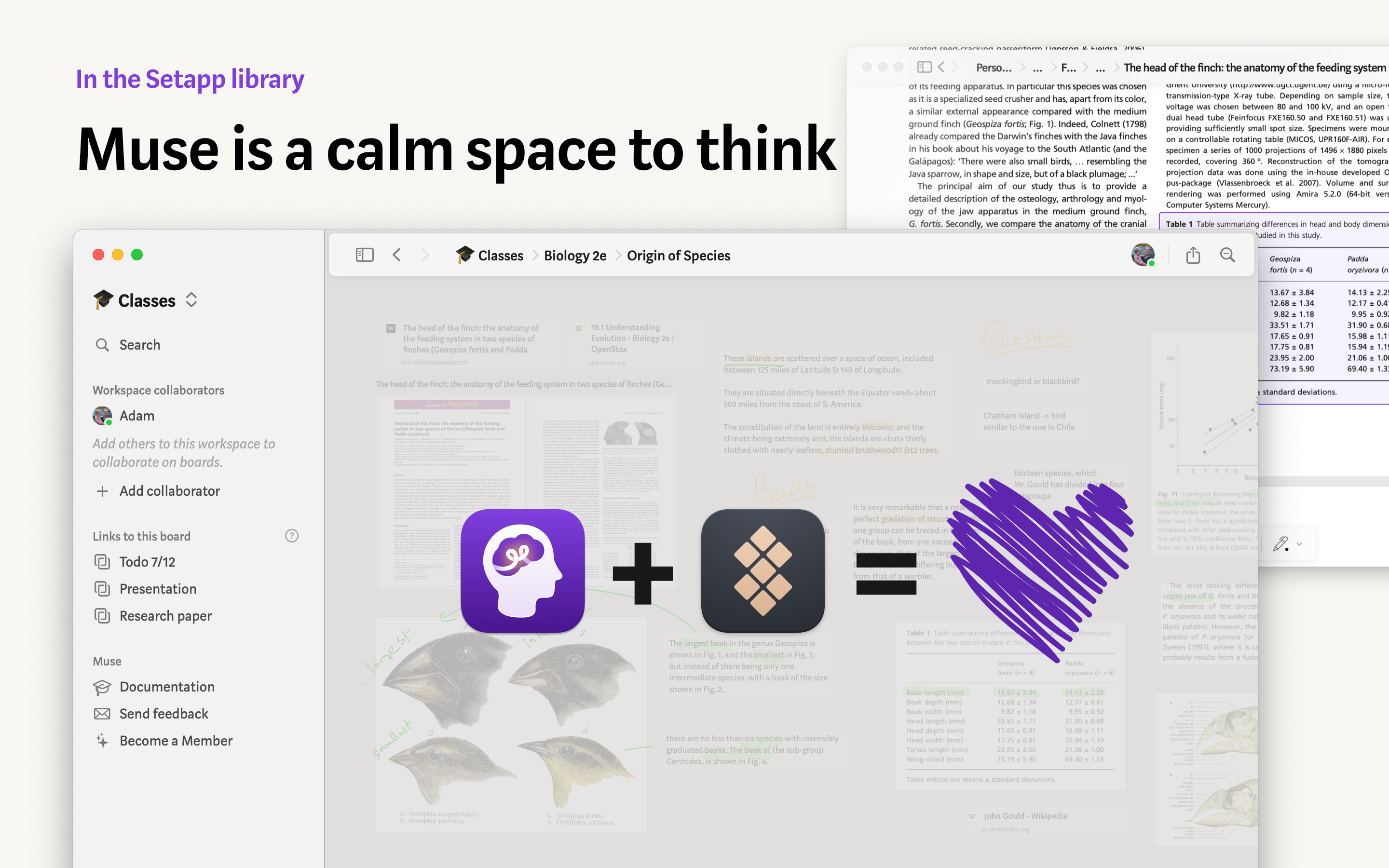 startuptile Muse for Setapp - canvas for ideas-Your cozy space for deep thinking