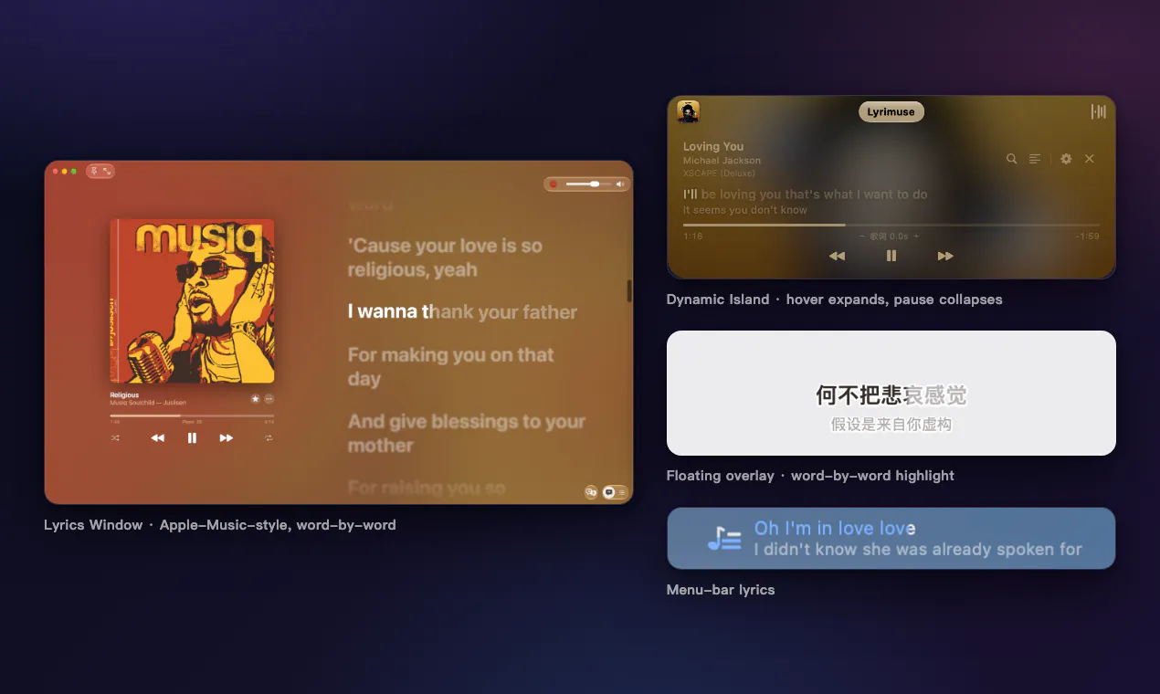 Lyrimuse screenshot 3