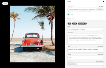 Daminik gallery image