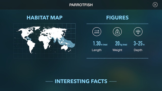 Amazing World Ocean gallery image