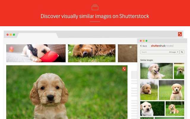 Shutterstock Reveal gallery image