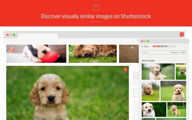 Shutterstock Reveal media 3