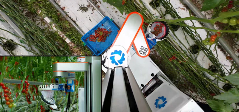 AI-based tomato-harvesting robot screenshot 4
