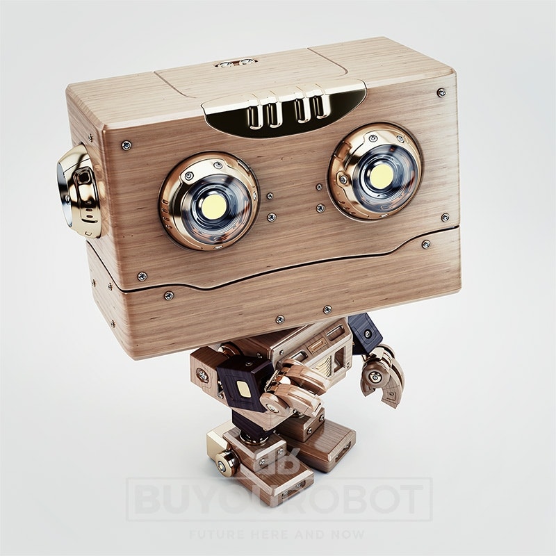 BuYouRobot gallery image