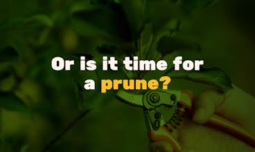 Prune your Follows gallery image