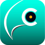 Lingcor - Learning English Gamification