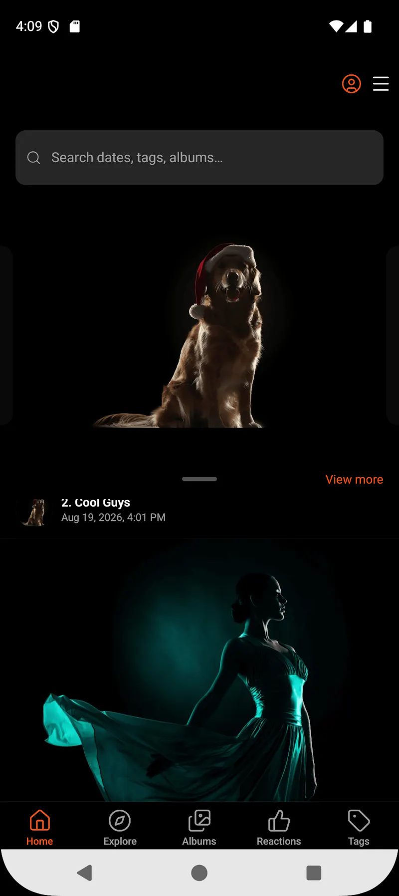 Ember Gallery screenshot 3