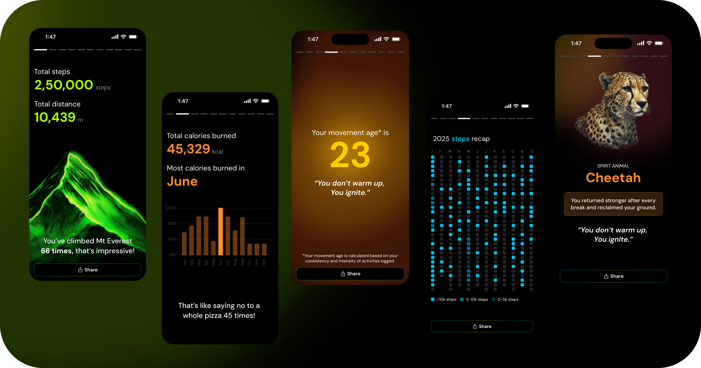 Apple Health Wrapped 2025 gallery image
