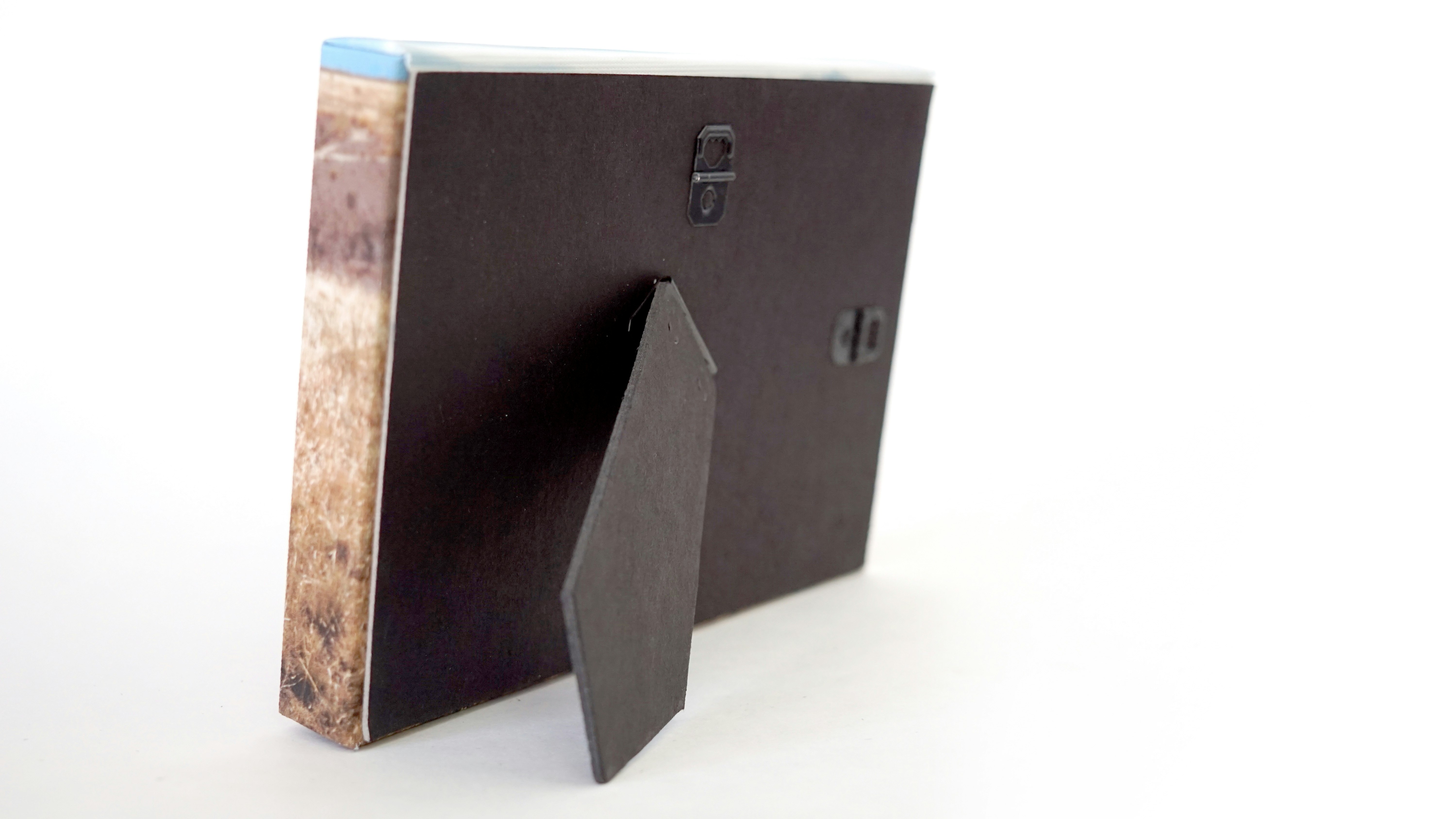 SnapCanvases gallery image