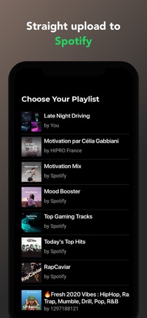 Spotiplus 2.0 gallery image