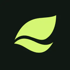 RoamVista