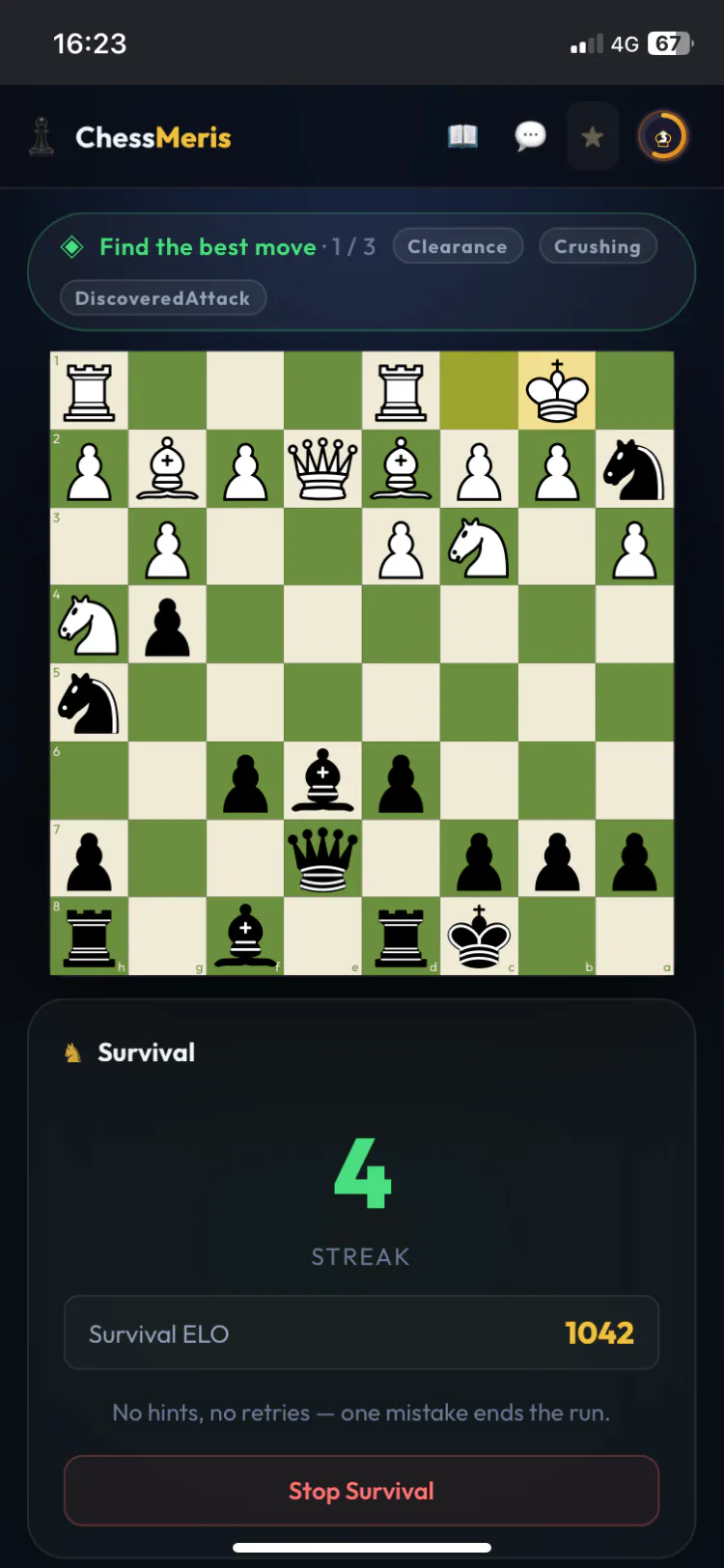 ChessMeris gallery image