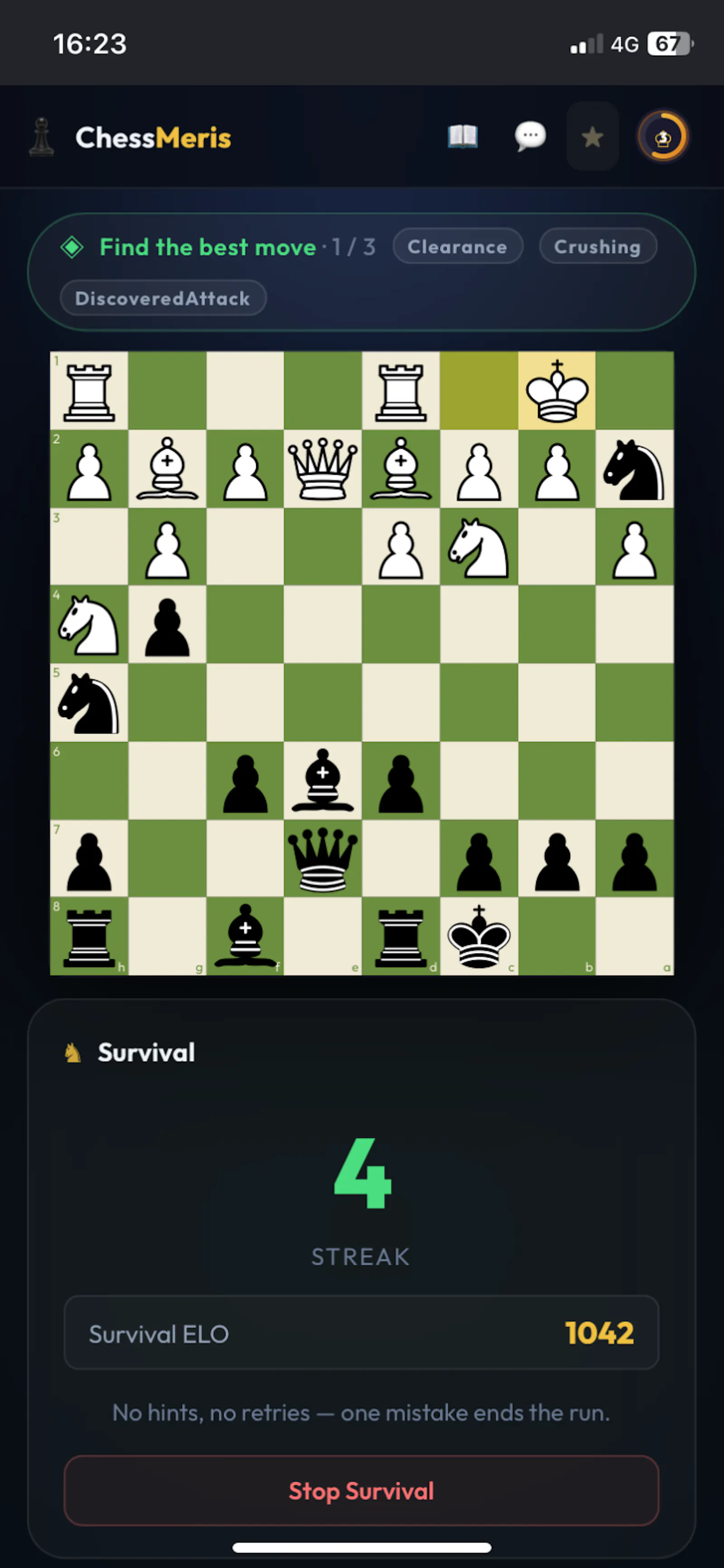 ChessMeris screenshot 5
