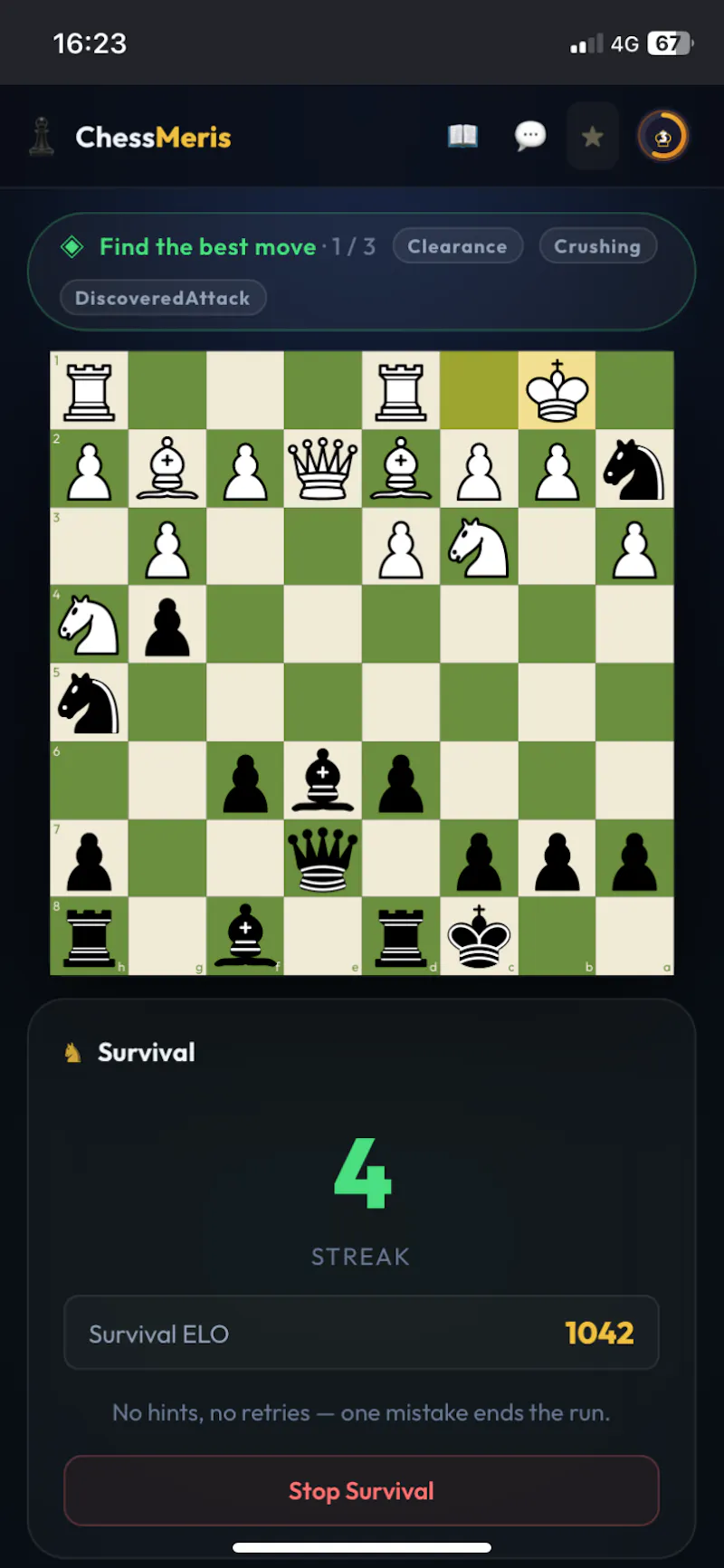 ChessMeris screenshot 5