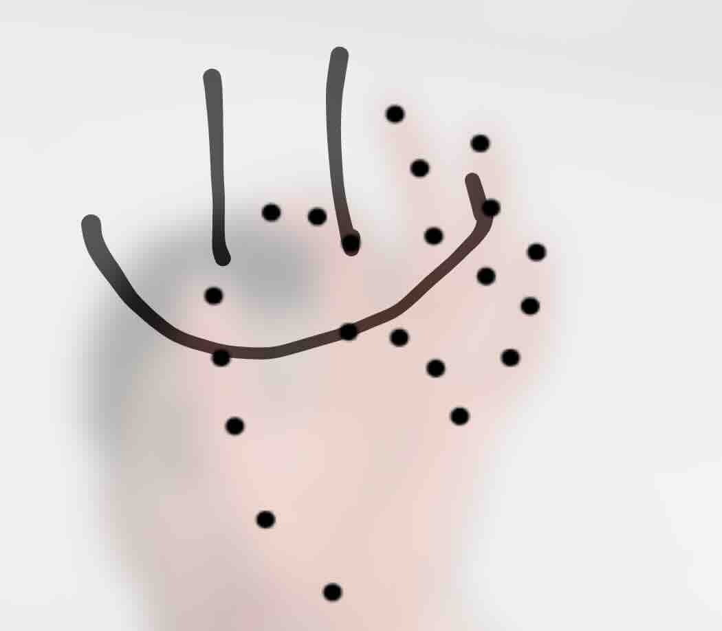 Canvas gallery image