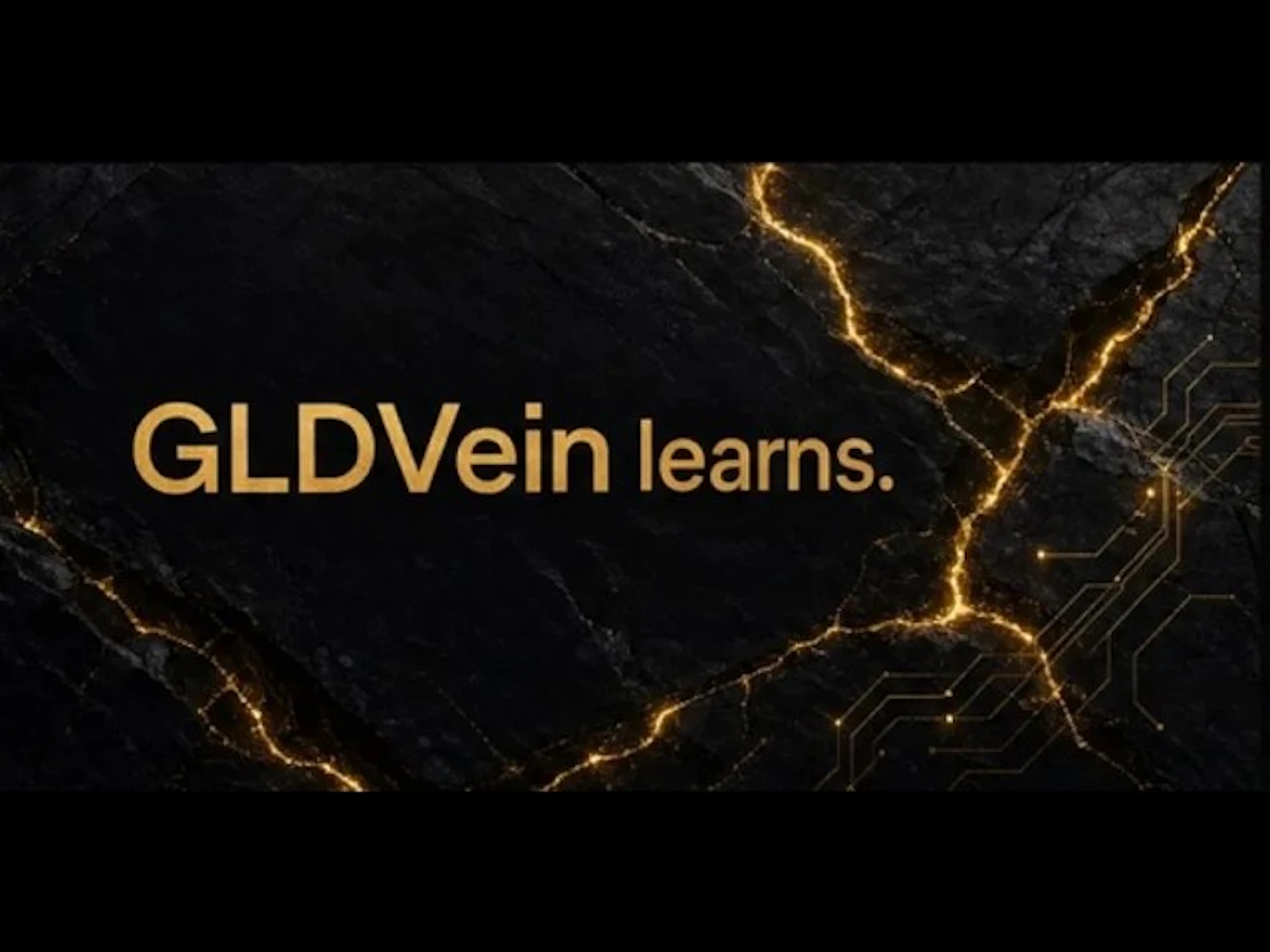 GLDVein screenshot 1 (video preview)