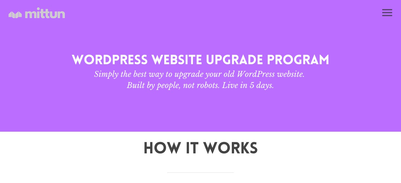 Wordpress Website Upgrade Program