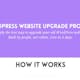 Wordpress Website Upgrade Program