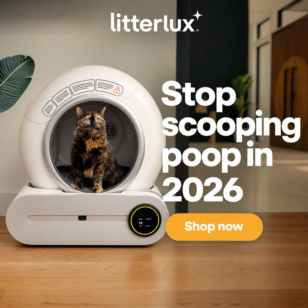LitterLux gallery image