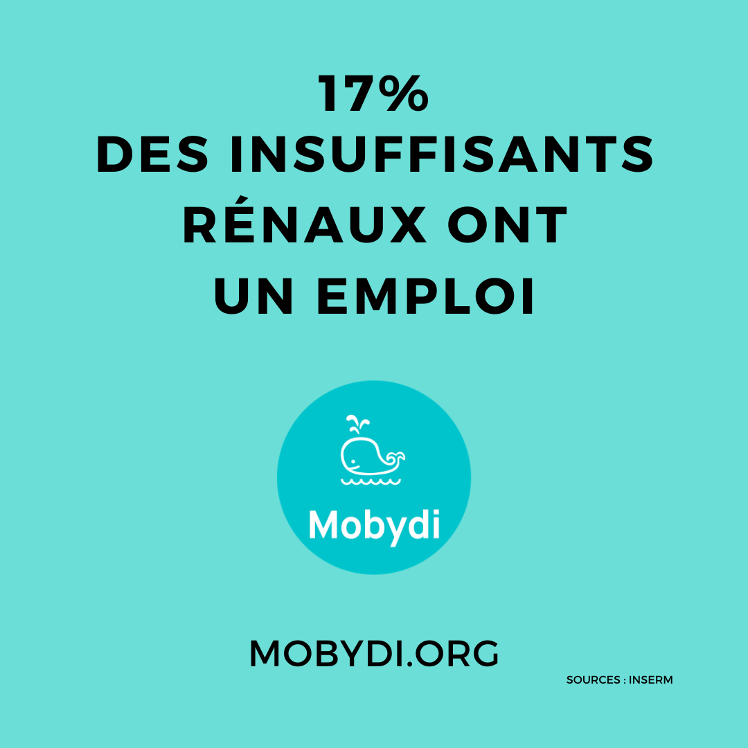 mobydi gallery image