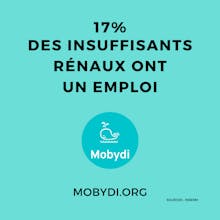 mobydi gallery image