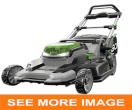 Best Electric Lawn Mowers gallery image