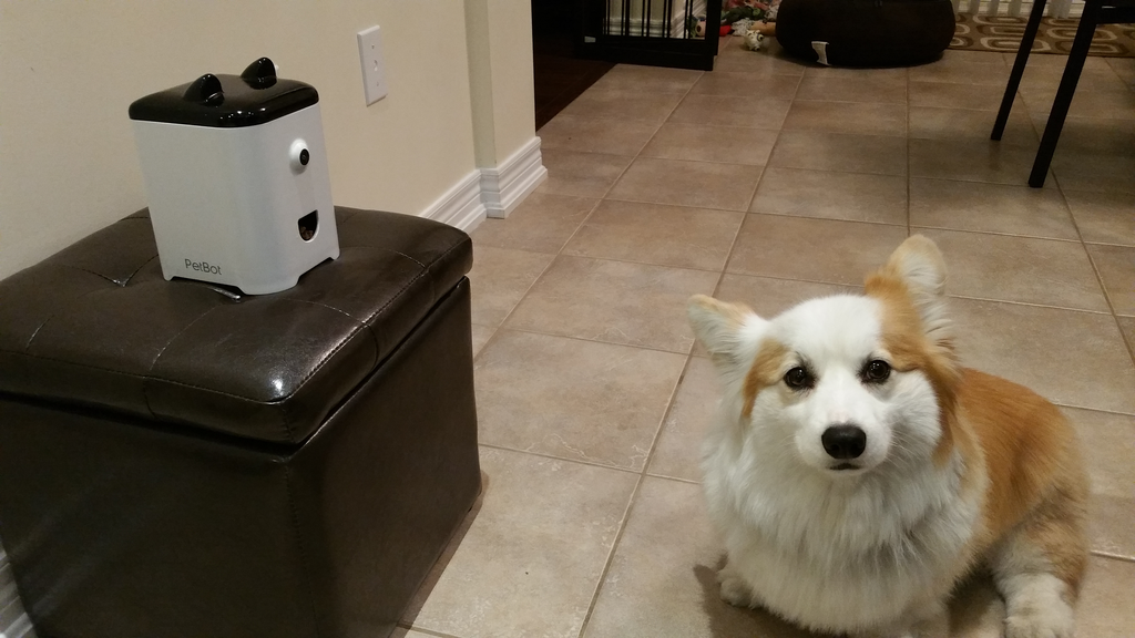 PetBot gallery image