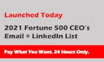 Fortune 500 CEO's image