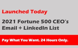 Fortune 500 CEO's media 1
