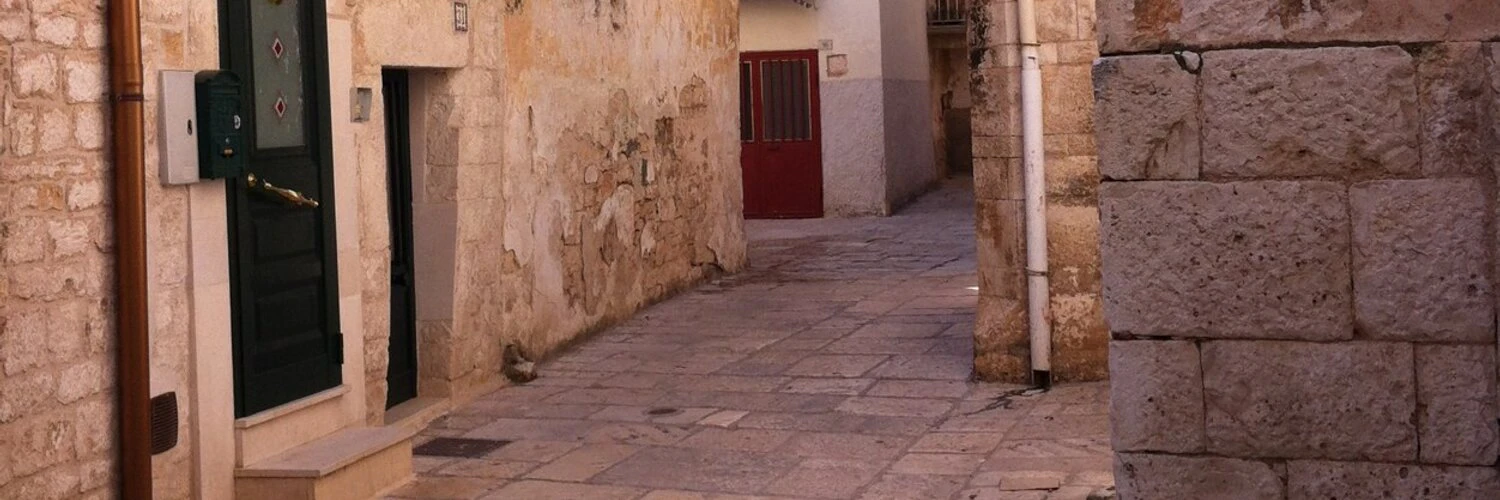 Dominique van Mil cover