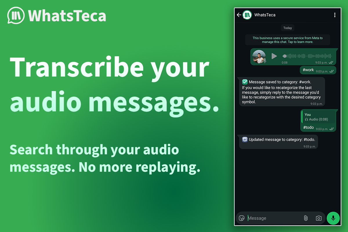 Whatsteca media 4
