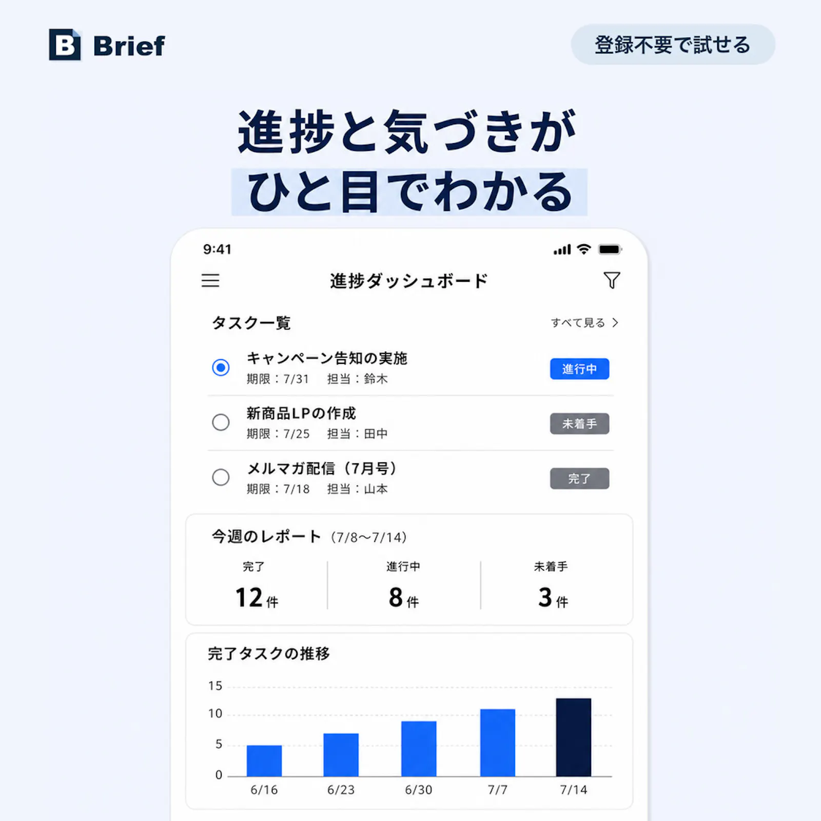 Brief screenshot 2