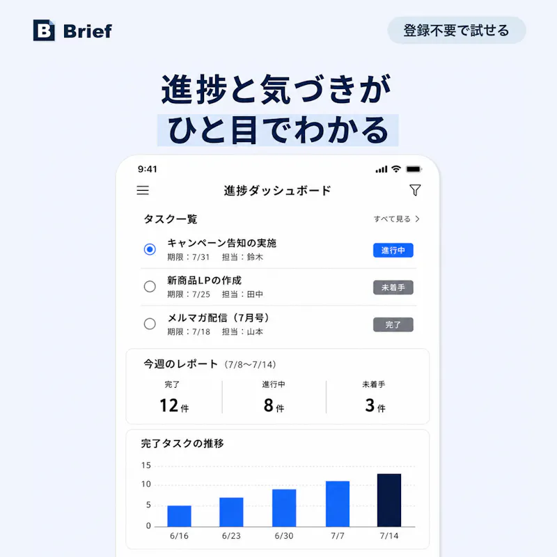 Brief screenshot 2