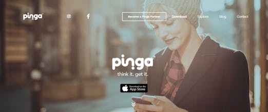 Pinga gallery image