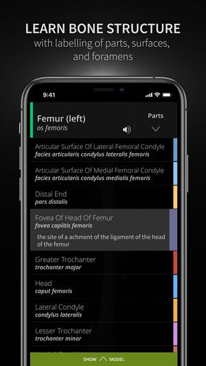 Anatomyka gallery image