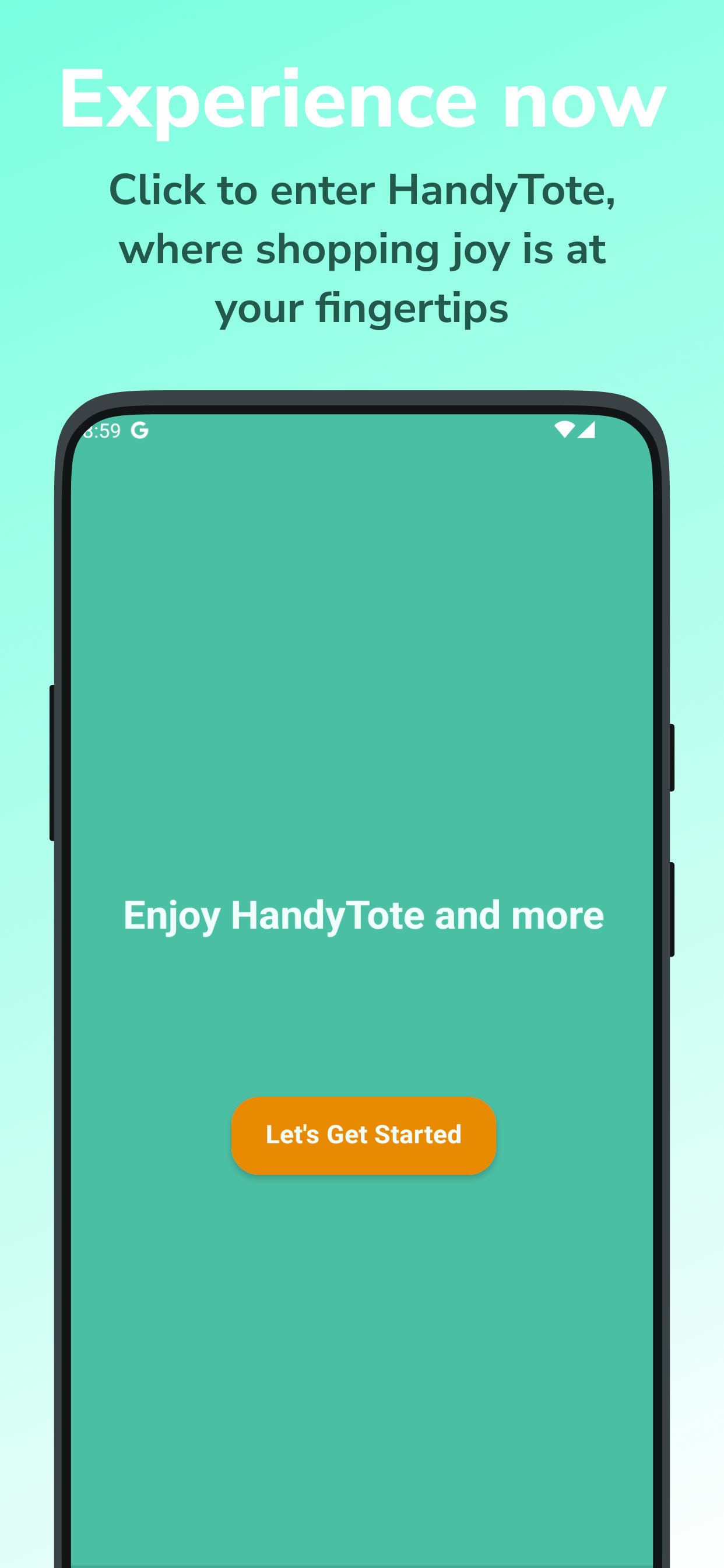 HandyTote media 8