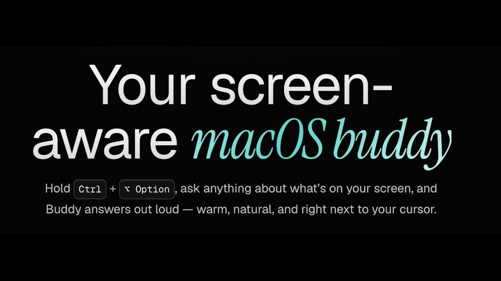 Buddy screenshot 1 (video preview)