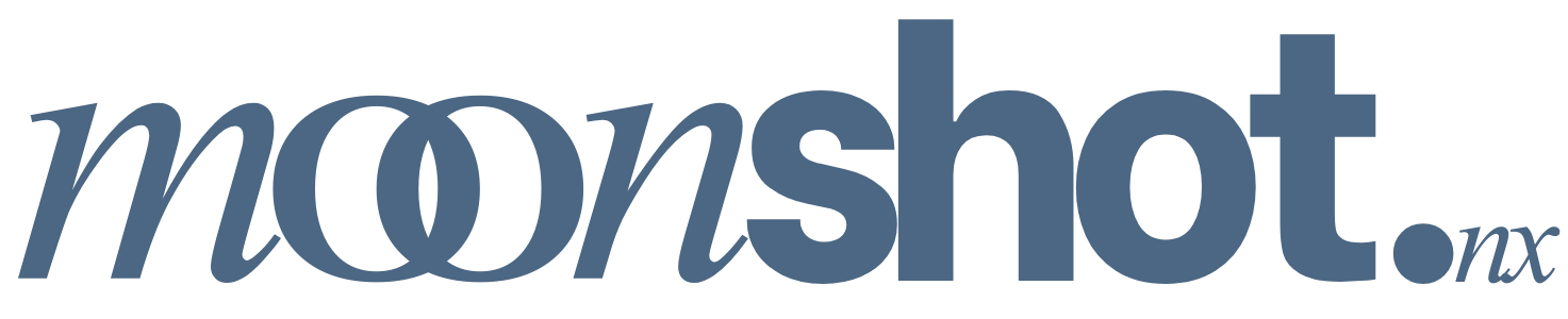 MoonshotNX Capital Infrastructure media 2