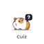 Cuiz AI