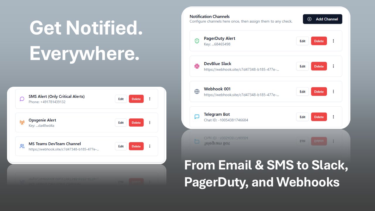 Ping-Signal media 5