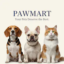 PawMart gallery image