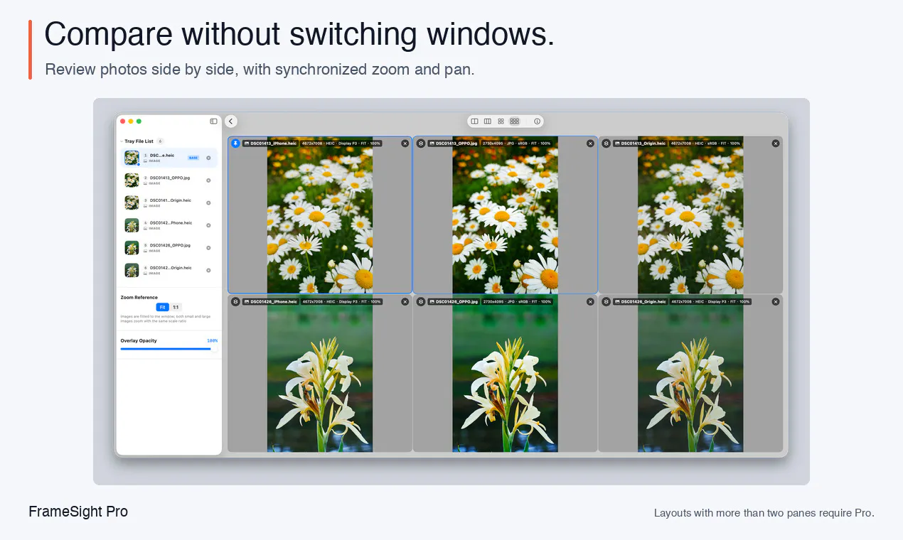 FrameSight Pro gallery image