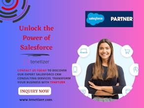 Tenetizer Salesforce Integration Product gallery image
