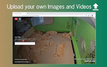 Live-Tabs gallery image