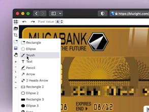 Bluright gallery image