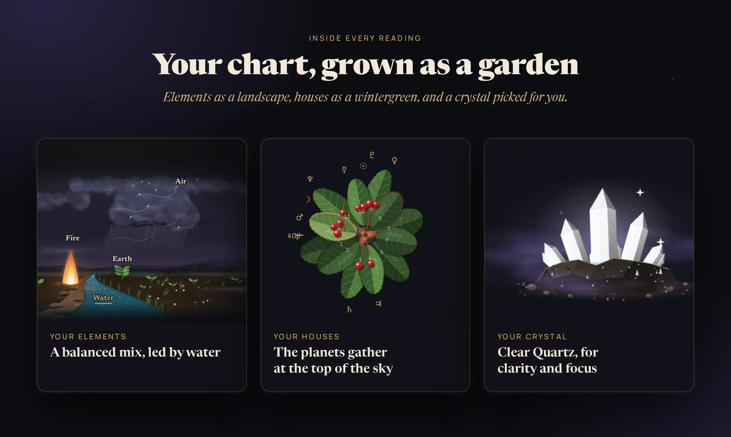 Pluto Garden gallery image