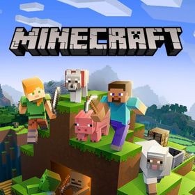 MineCraft Info